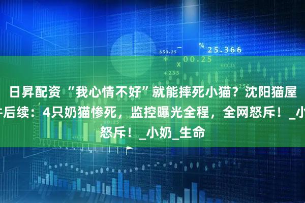 日昇配资 “我心情不好”就能摔死小猫？沈阳猫屋虐猫事件后续：4只奶猫惨死，监控曝光全程，全网怒斥！_小奶_生命
