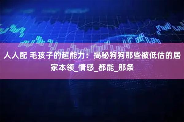 人人配 毛孩子的超能力：揭秘狗狗那些被低估的居家本领_情感_都能_那条