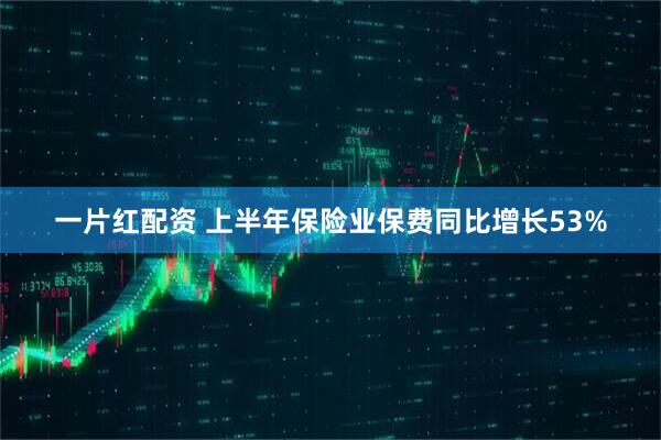 一片红配资 上半年保险业保费同比增长53%