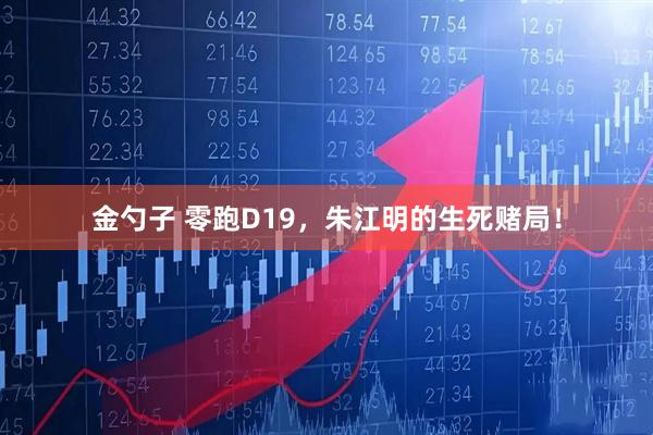 金勺子 零跑D19，朱江明的生死赌局！