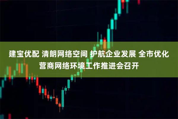 建宝优配 清朗网络空间 护航企业发展 全市优化营商网络环境工作推进会召开