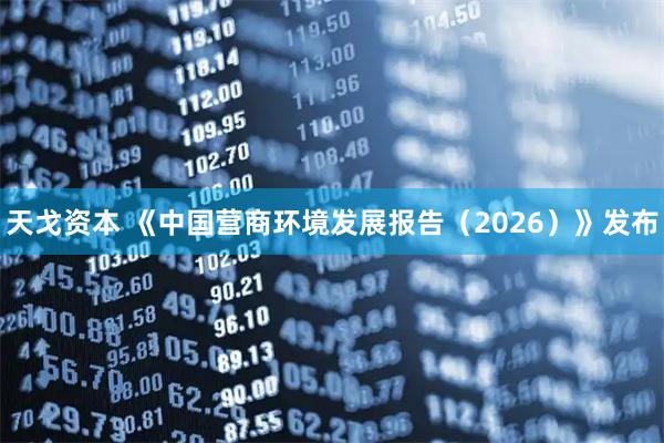 天戈资本 《中国营商环境发展报告（2026）》发布