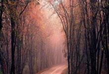 初学者怎么投股票:股票账户配资-从北极飞到南极不到3个半小时！央视解码我军新锐装备：东风-17高超声速导弹未来还将配诱饵弹头